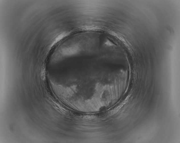 X0000110961306200907101319