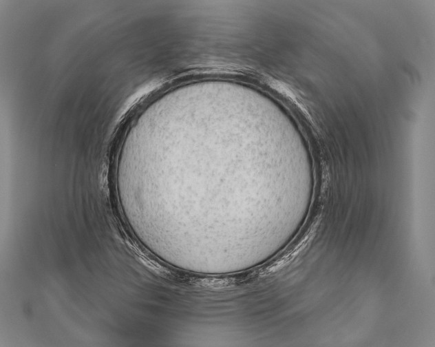 X0000110961307200907101319