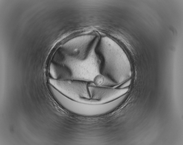 X0000110961308200907101319