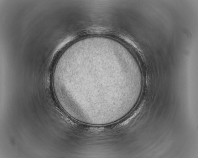 X0000110961309200907101319