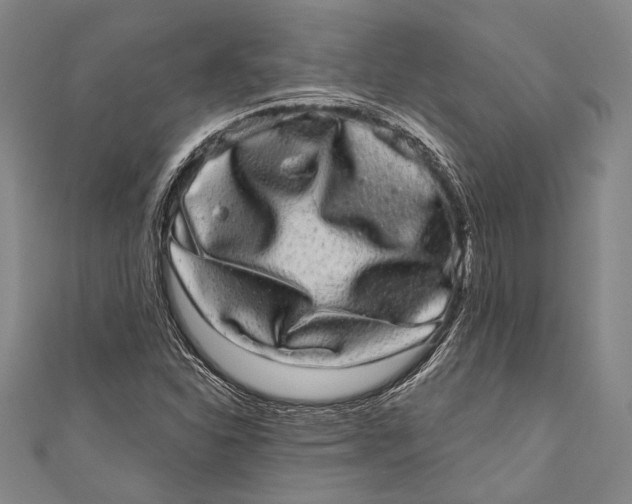 X0000110961310200907101319