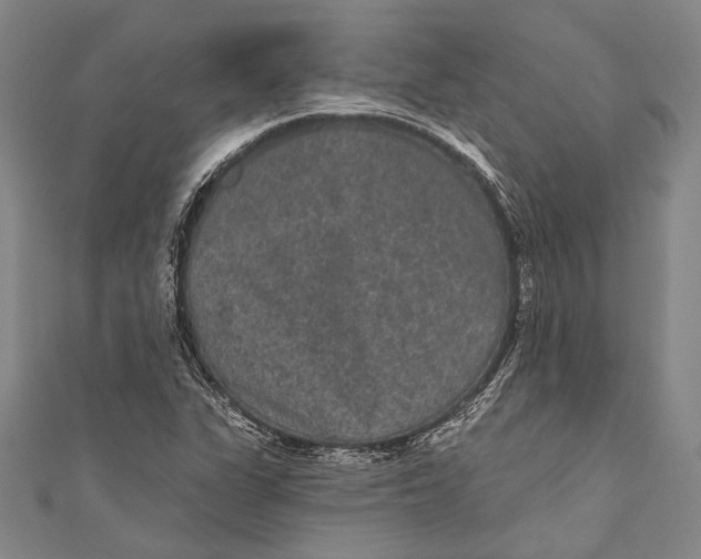 X0000110961311200907101319