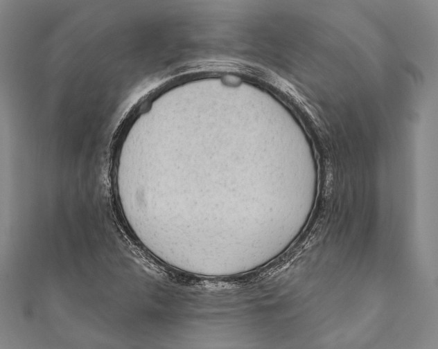 X0000110961312200907101319