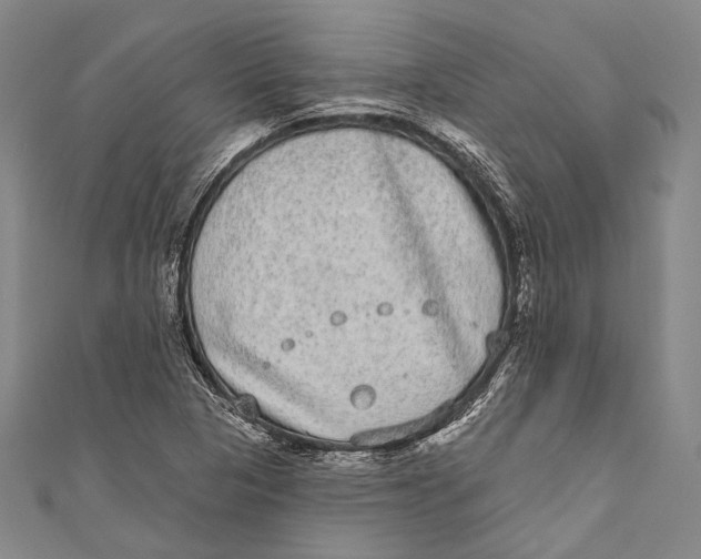 X0000110961313200907101319