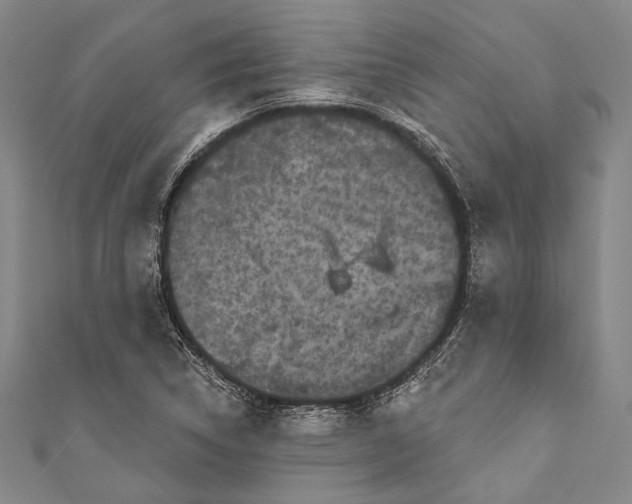 X0000110961314200907101319