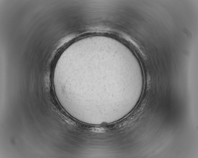 X0000110961315200907101319