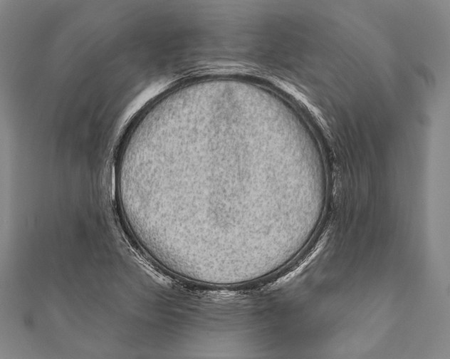 X0000110961317200907101319