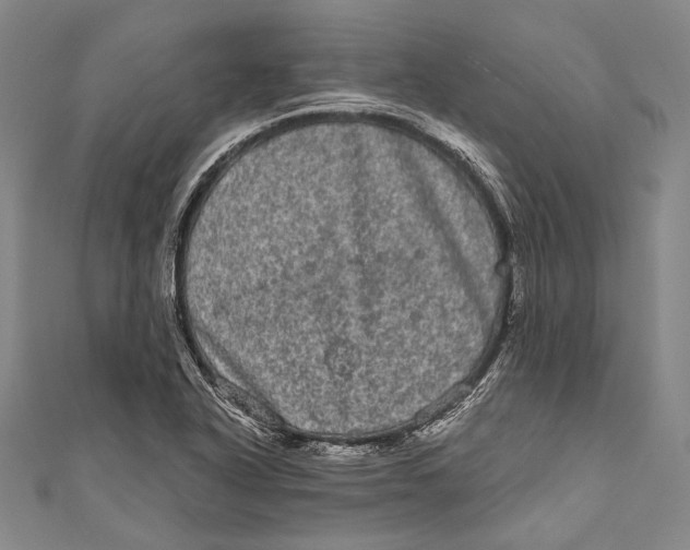 X0000110961318200907101319