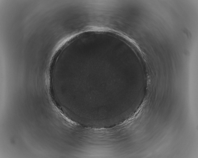 X0000110961319200907101319