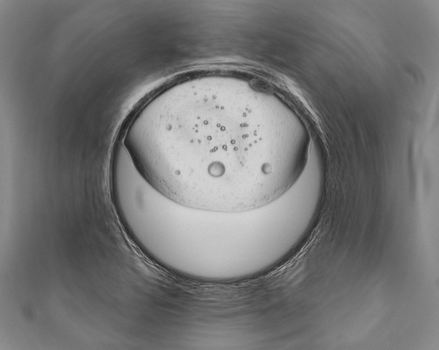 X0000110961320200907101319