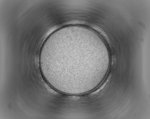 X0000110961321200907101319