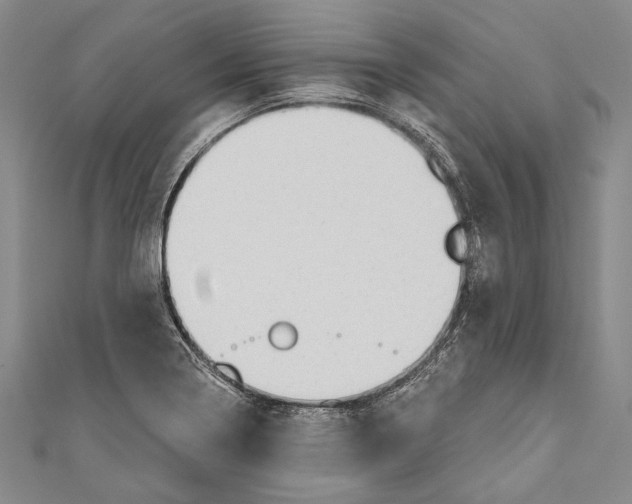 X0000110961322200907101319