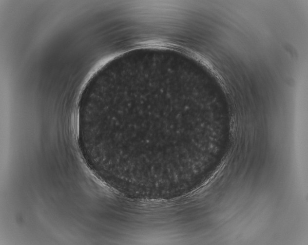 X0000110961323200907101319