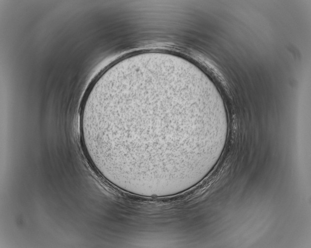 X0000110961324200907101319