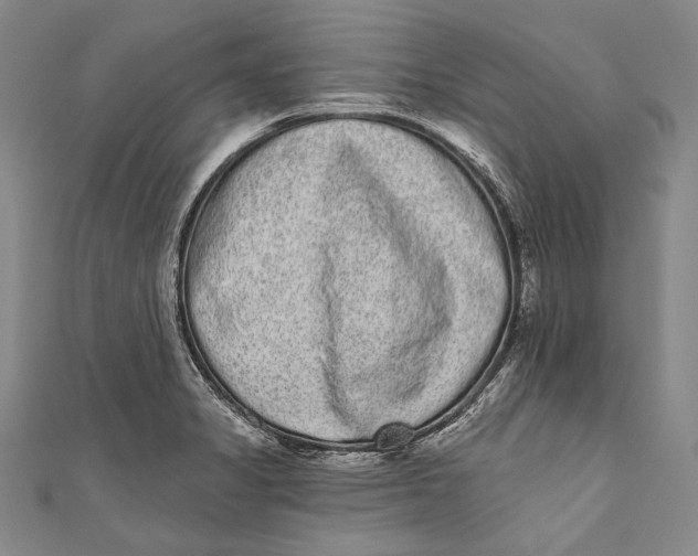 X0000110961325200907101319