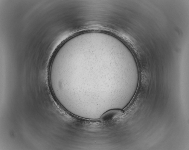 X0000110961326200907101319