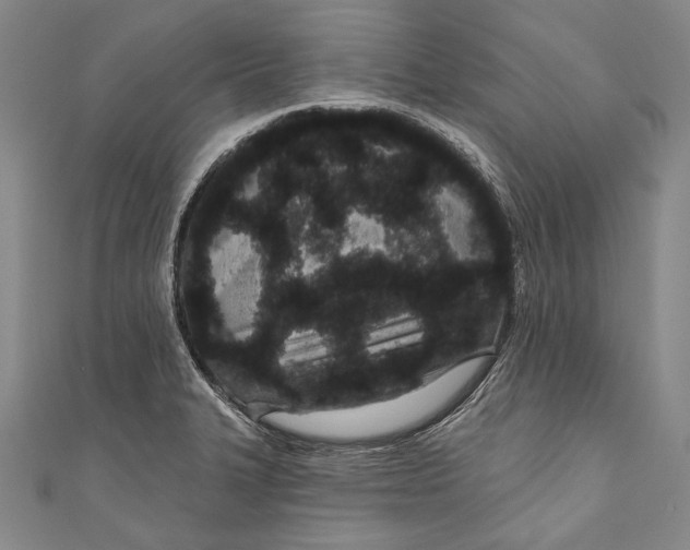 X0000110961327200907101319