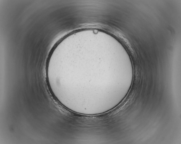 X0000110961328200907101319