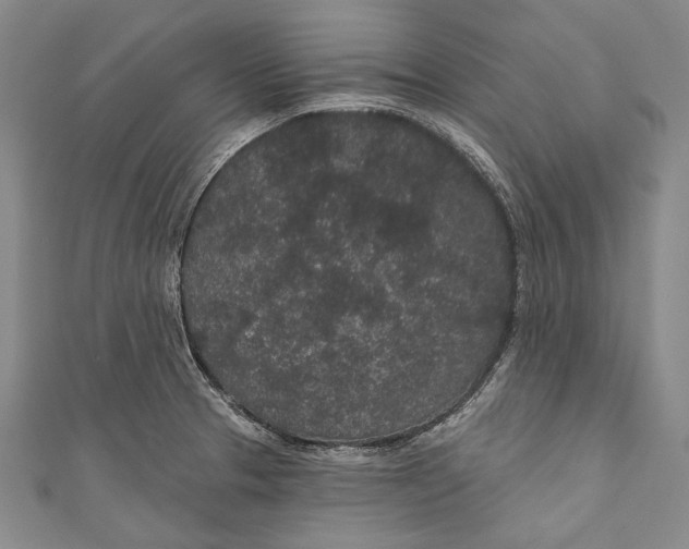 X0000110961329200907101319