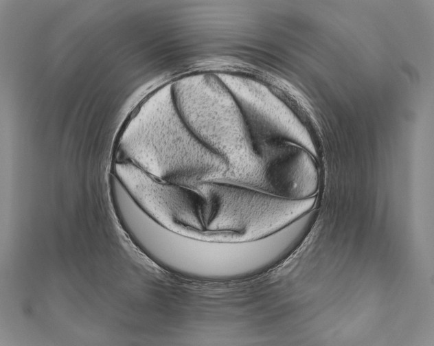 X0000110961330200907101319