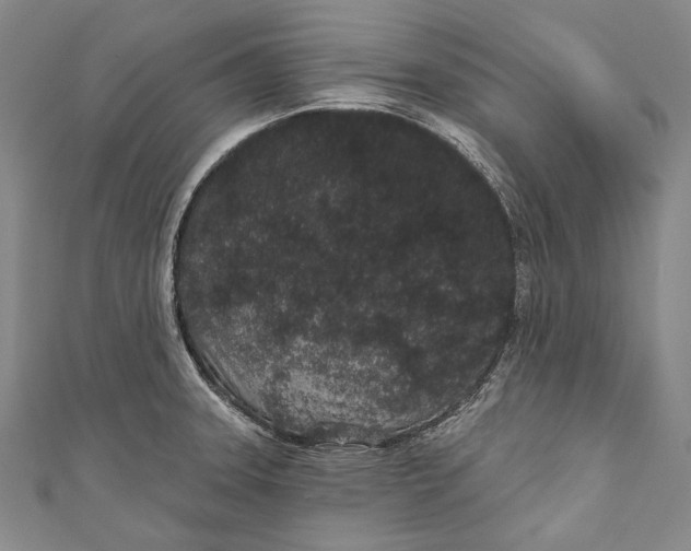 X0000110961331200907101319