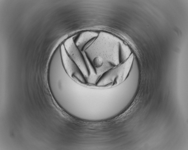 X0000110961332200907101319