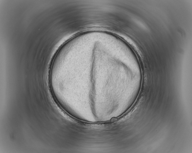 X0000110961333200907101319