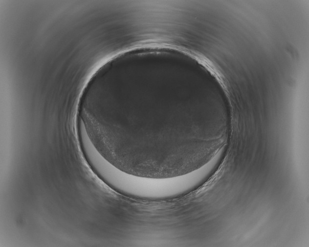 X0000110961334200907101319