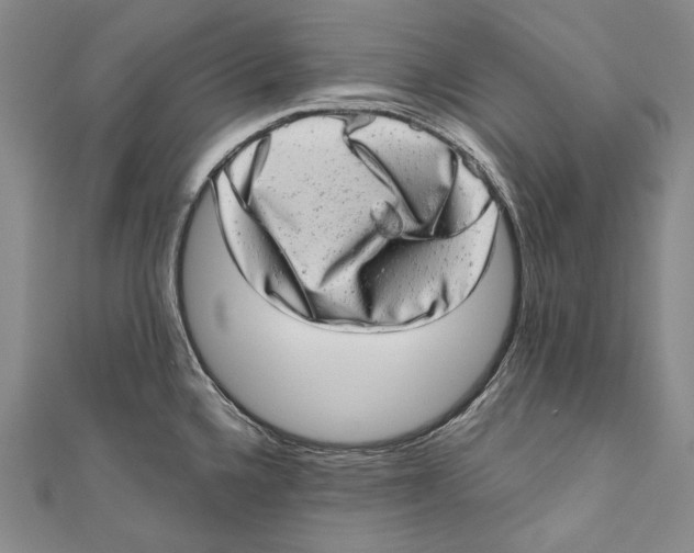 X0000110961336200907101319