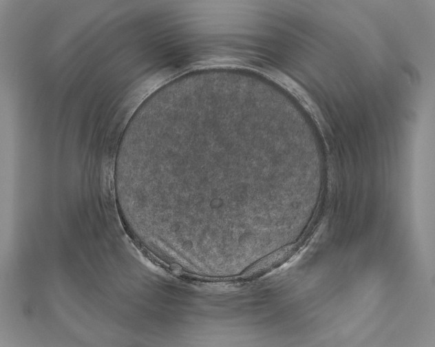 X0000110961337200907101319