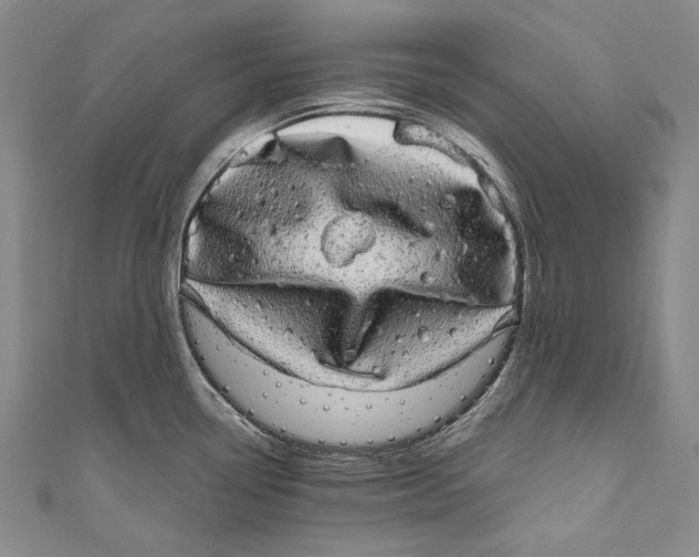 X0000110961338200907101319