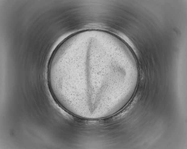 X0000110961339200907101319