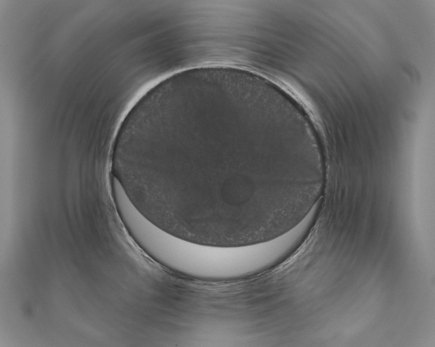 X0000110961340200907101319