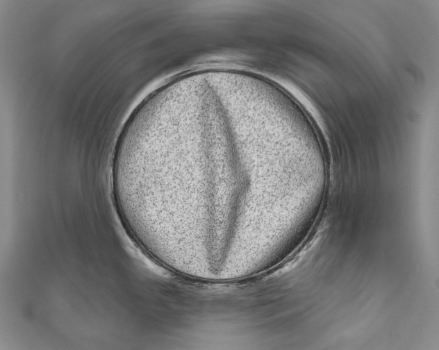 X0000110961341200907101320