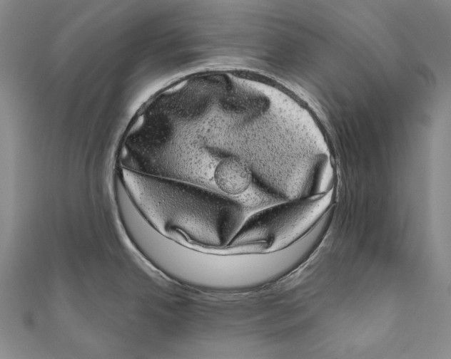 X0000110961342200907101320