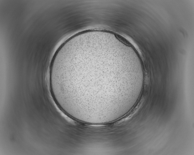 X0000110961343200907101320