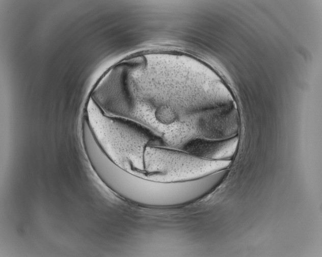 X0000110961344200907101320