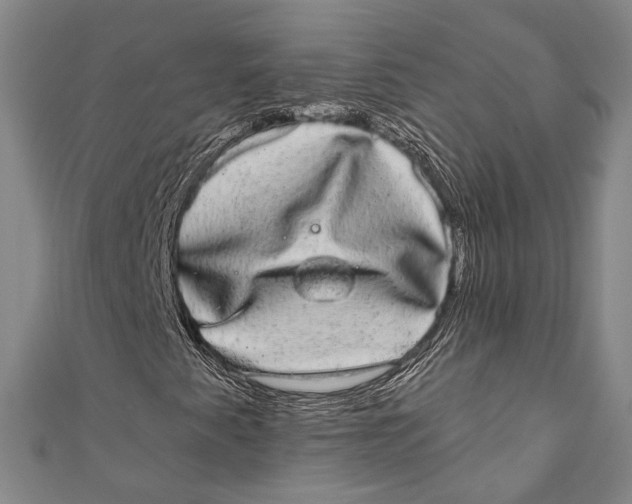 X0000110961345200907101319