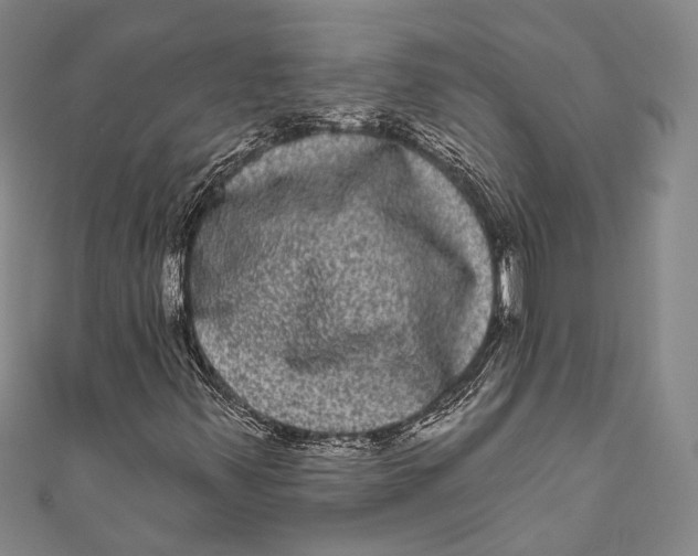 X0000110961347200907101319