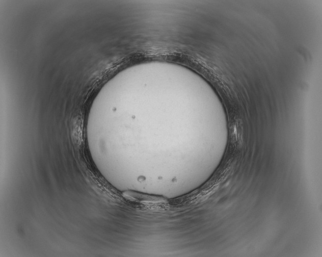 X0000110961348200907101319