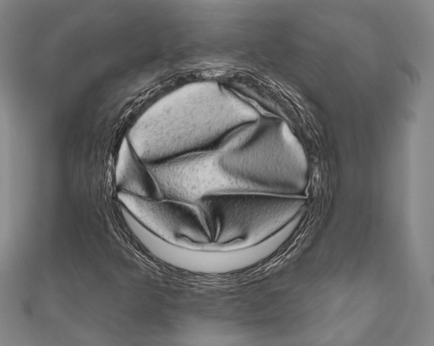 X0000110961349200907101319