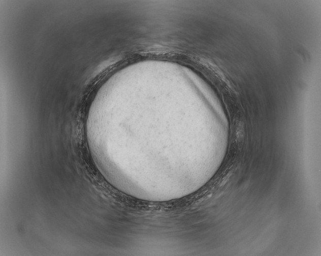 X0000110961350200907101319