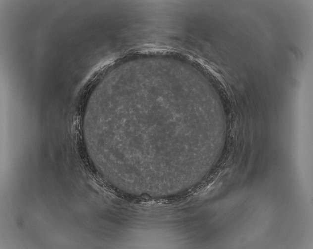 X0000110961351200907101319