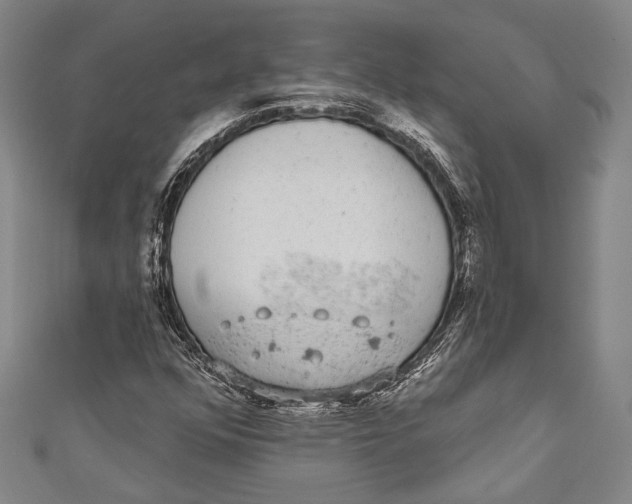 X0000110961352200907101319