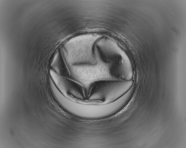 X0000110961353200907101319