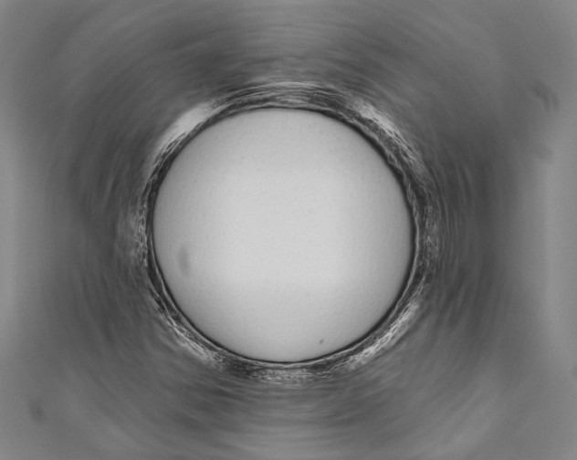 X0000110961354200907101319