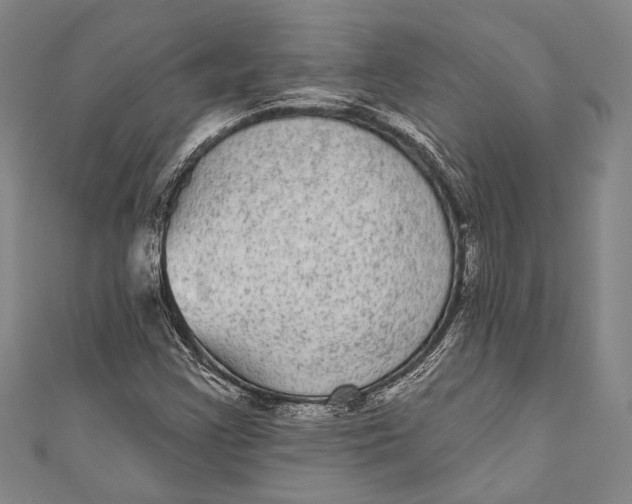 X0000110961355200907101319