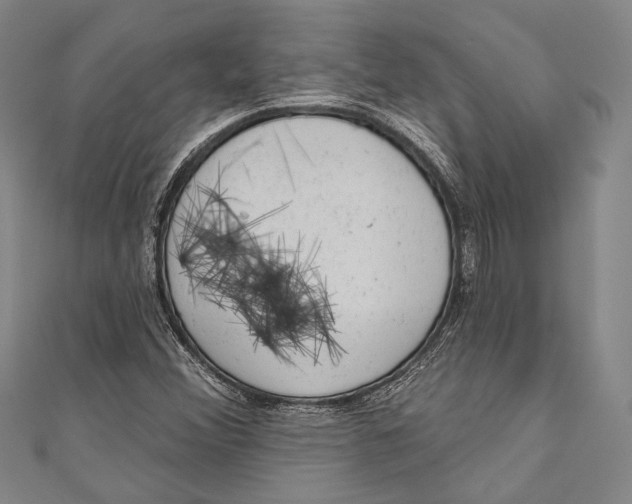 X0000110961356200907101319