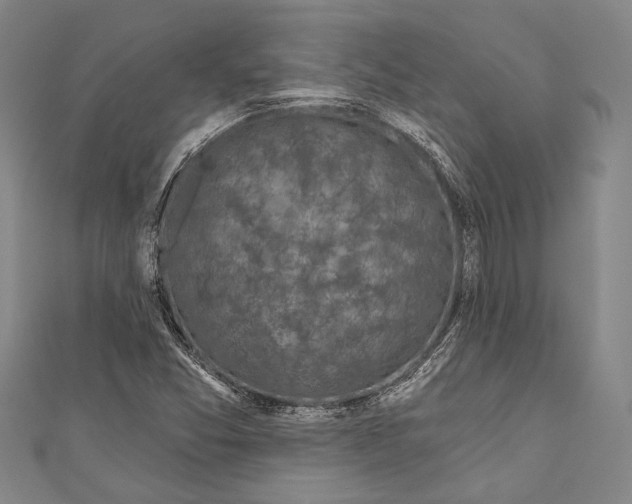 X0000110961357200907101319