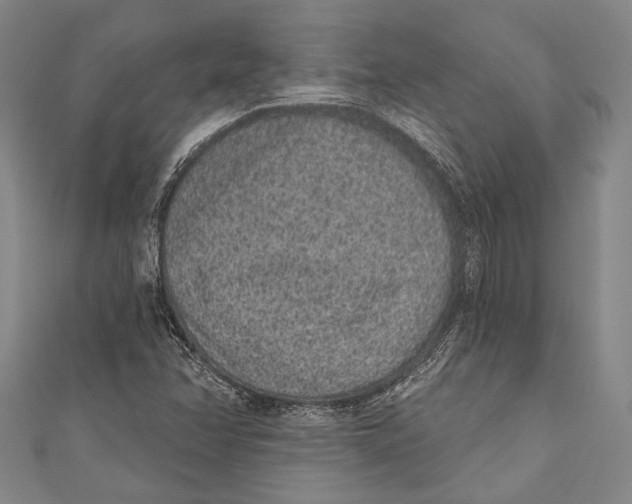 X0000110961358200907101319